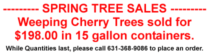 Long Island Tree and Plant Sales